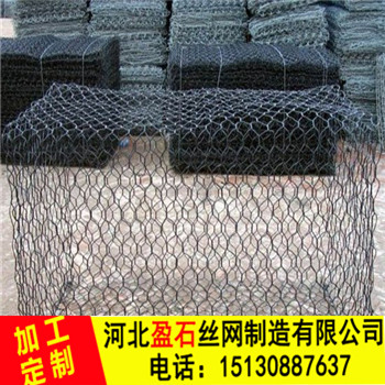 生態91视频网站免费看