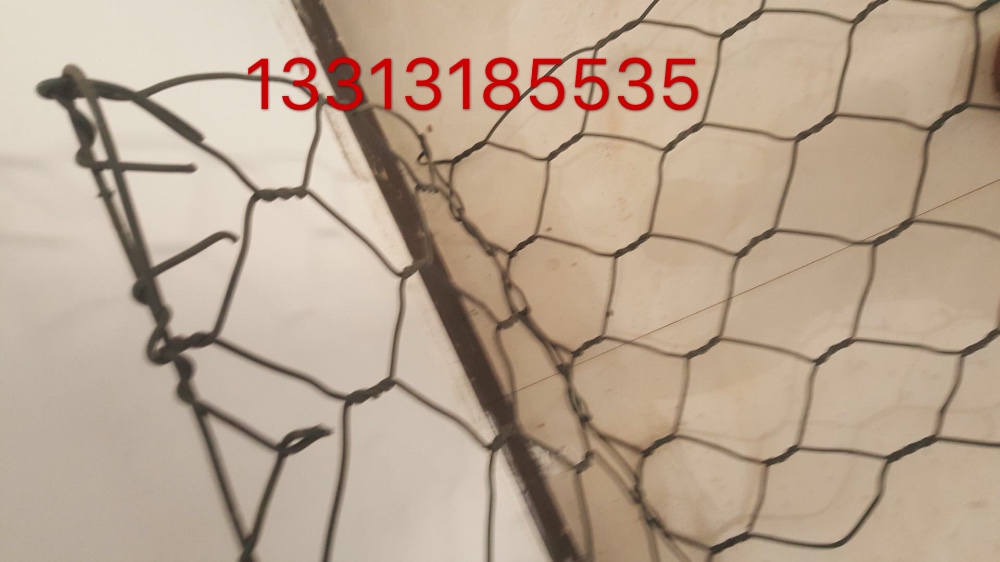 91视频网站免费看簡介 